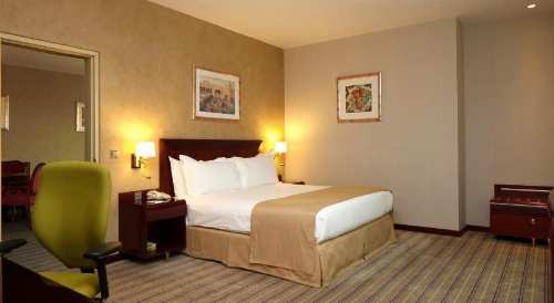 Holiday Inn Olaya image 35